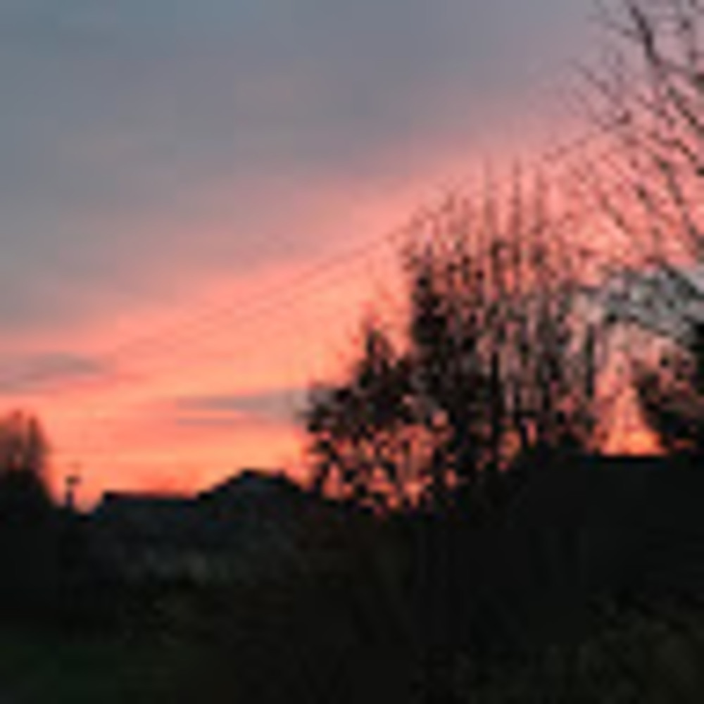 Meet your Posher, Patrick